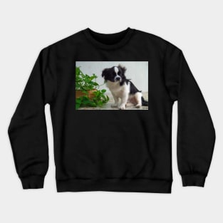cute puppy Crewneck Sweatshirt